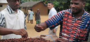 Cocoa Sourcing